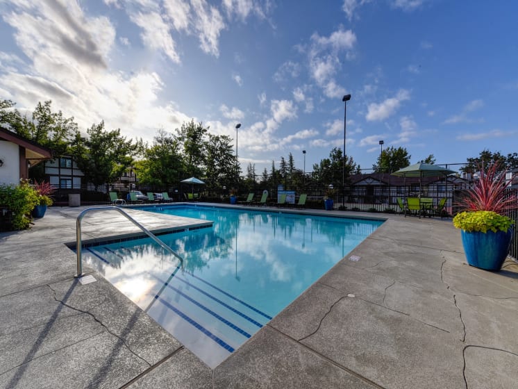 Pool with Stairs, Lounge Chairs, Lime Green Chairs and Patio Umbrella